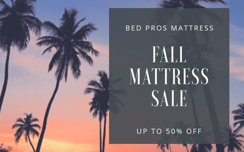 bed pros mattress countryside clearwater